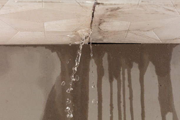 Professional Structural Drying technician working in Allenhurst, NJ